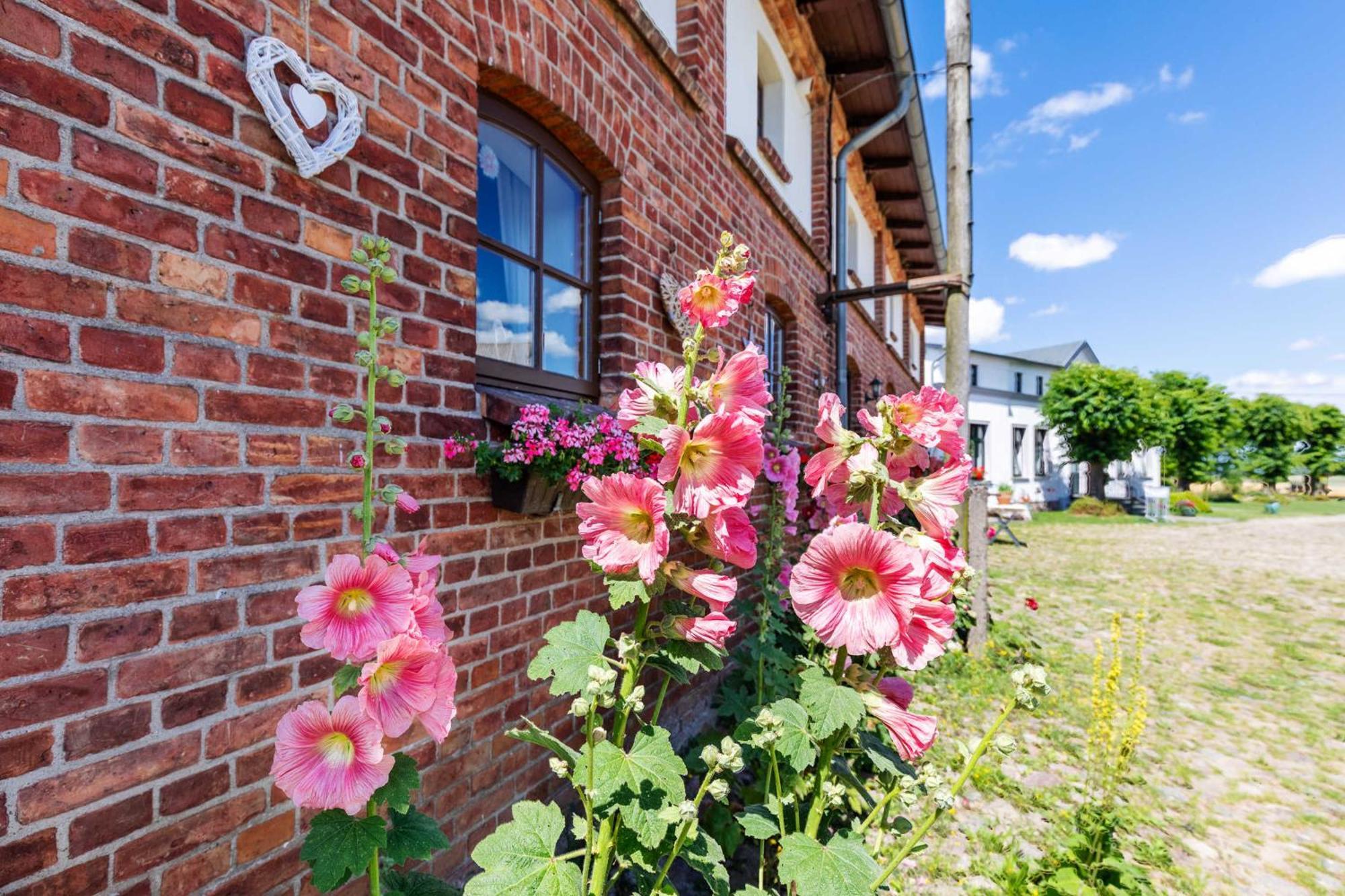 Ostsee Bauernhof Schwalbennest Ofc 15 Steffenshagen Zewnętrze zdjęcie